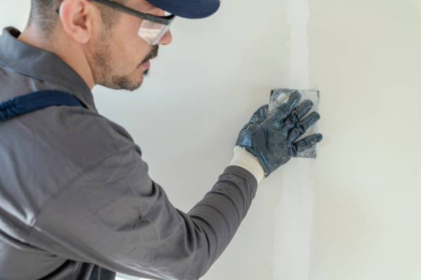 Best Drywall Removal and Disposal  in Rosebud, SD